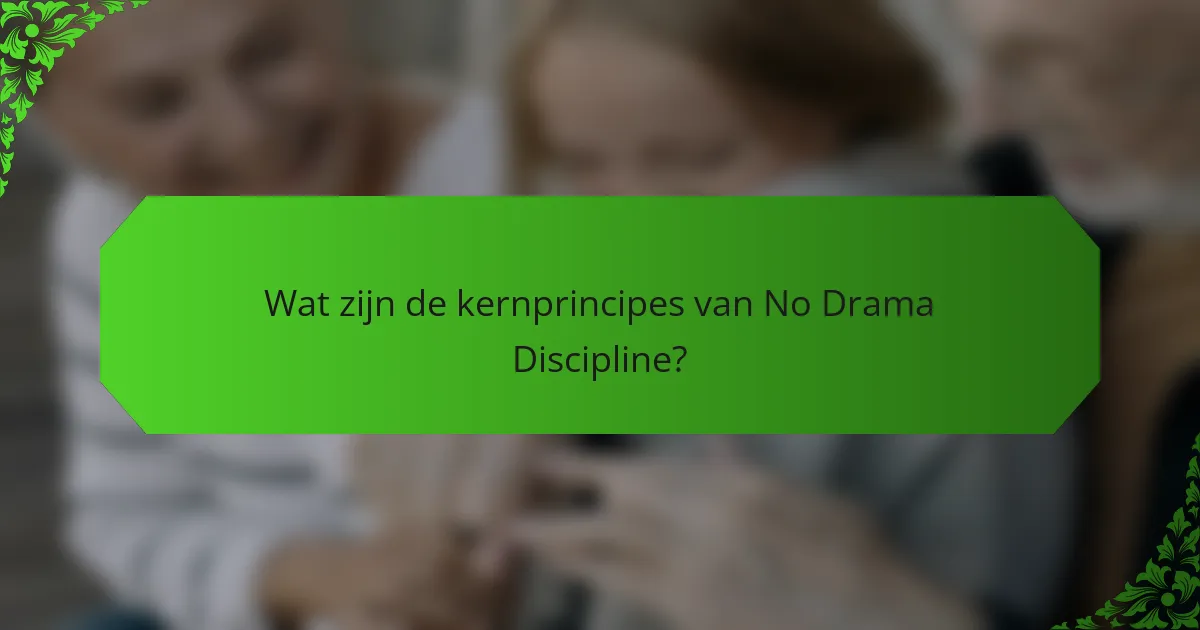 Wat zijn de kernprincipes van No Drama Discipline?