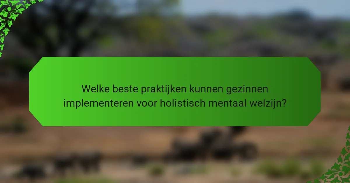 Welke Beste Praktijken Kunnen Gezinnen Implementeren Voor Holistisch Mentaal Welzijn?